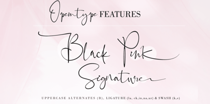 Black Pink Signature Font Poster 4