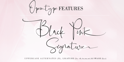 Black Pink Signature Fuente Póster 4