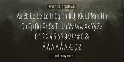 Wilder Font Poster 4