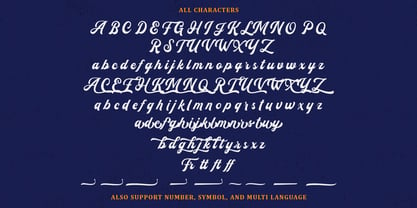 Flanders Script Font Poster 5