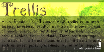 Trellis Font Poster 3