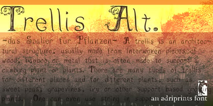 Trellis Font Poster 4