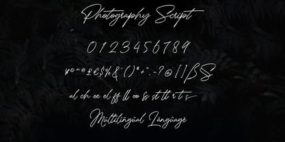Photographie Script Police Poster 11