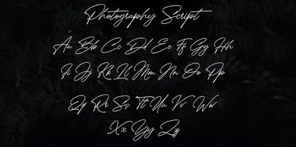 Photography Script Font Poster 10
