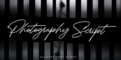 Photography Script Font Poster 1