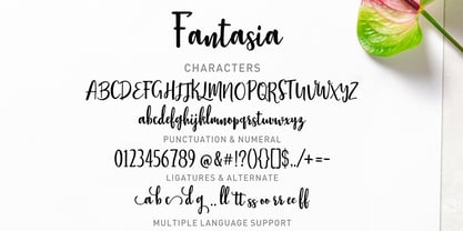Fantasia Script Fuente Póster 12