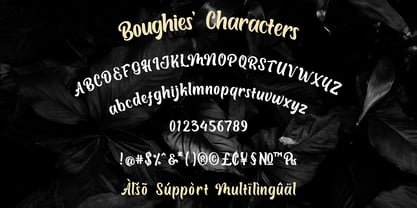 Boughies Font Poster 2