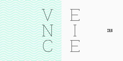Venice Serif Font Poster 5