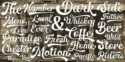 The Pincher Brothers Font Poster 7