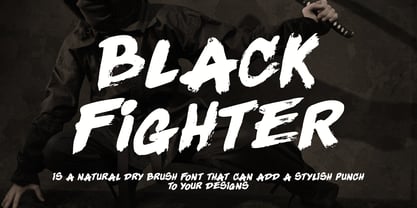 Black Fighter Fuente Póster 1
