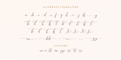 Hyldae Script Font Poster 10