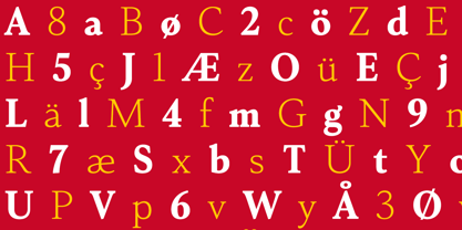 Senlot Serif Font Poster 7