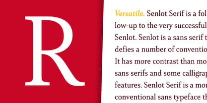 Senlot Serif Font Poster 3