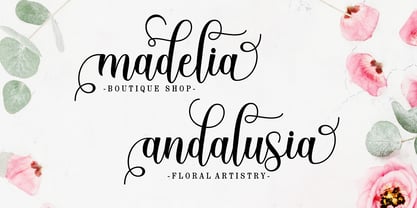 Batavia Script Font Poster 2