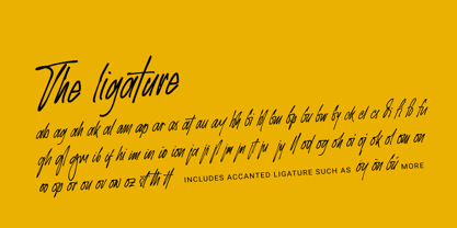 Exhibitionist Font Poster 14