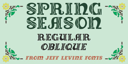 Spring Season JNL Font Poster 1
