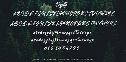 Dignity Font Poster 8