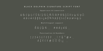 Black Dolphin Font Poster 5