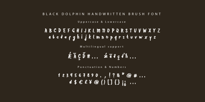 Black Dolphin Font Poster 4