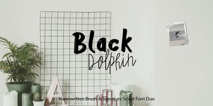 Black Dolphin Font Poster 1