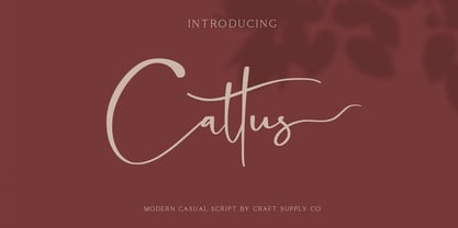 Cattus Font Poster 1