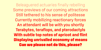 Sinter Font Poster 6