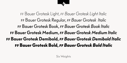 FF Bauer Grotesk Police Poster 2