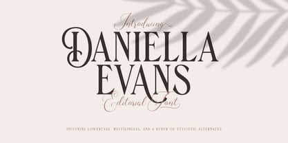Daniella Evans Font Poster 8