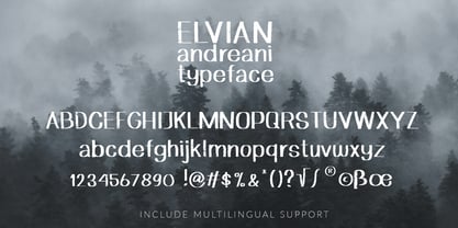 Elvian Andreani Font Poster 4