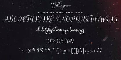 Wallingness Script Font Poster 8