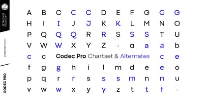 Codec Pro Font Poster 5