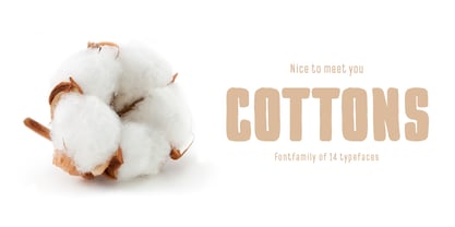 Pinatas Cottons Font Poster 2