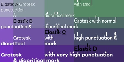 Elastik Font Poster 3