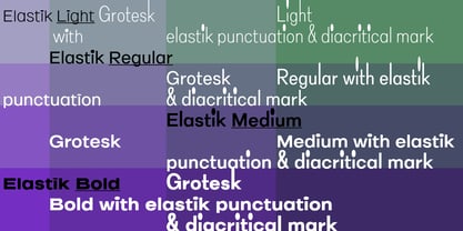 Elastik Font Poster 2