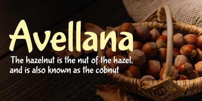 Avellana Pro Font Poster 3