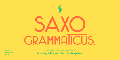 Saxo Grammaticus Fuente Póster 1