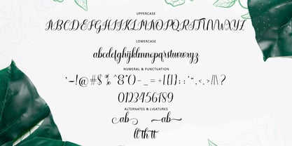 Caldwell Script Font Poster 4