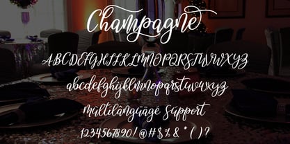 Champagne Font Poster 7