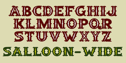 Salloon Font Poster 6