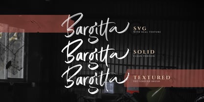 Bargitta Police Affiche 8