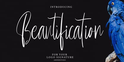 Beautification Font Poster 1