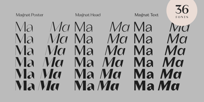 Magnat Font Poster 6