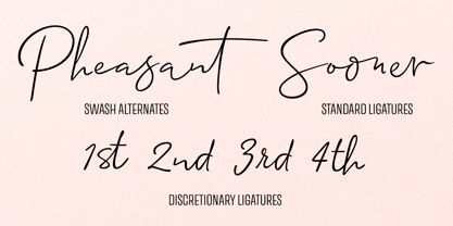 Allison Script Font Poster 9