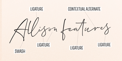 Allison Script Font Poster 4