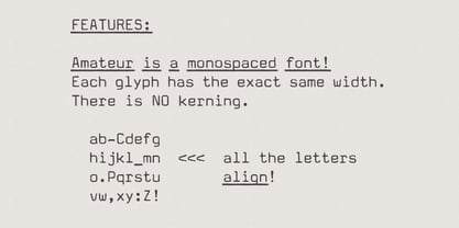 Amateur Typewriter Font Poster 3