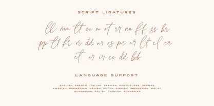 La Luxes Font Poster 12