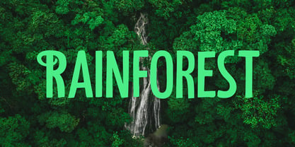 Understory Font Poster 7