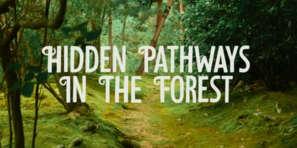 Understory Font Poster 2