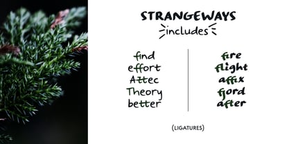 Strangeways Font Poster 4