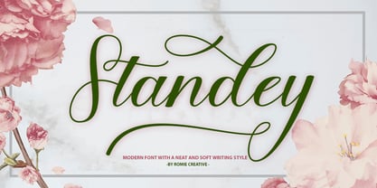 Standey Script Font Poster 1